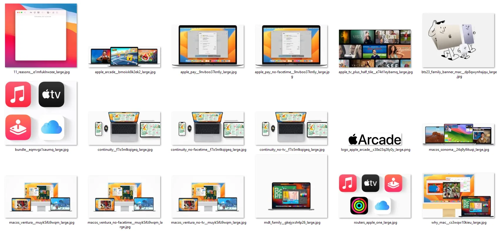 collection of results from background image scraping