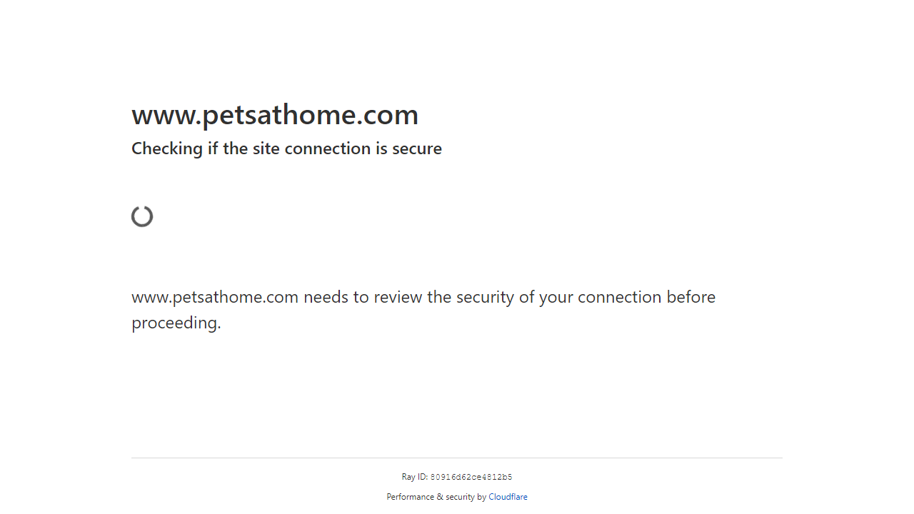 Cloudflare CAPTCHA