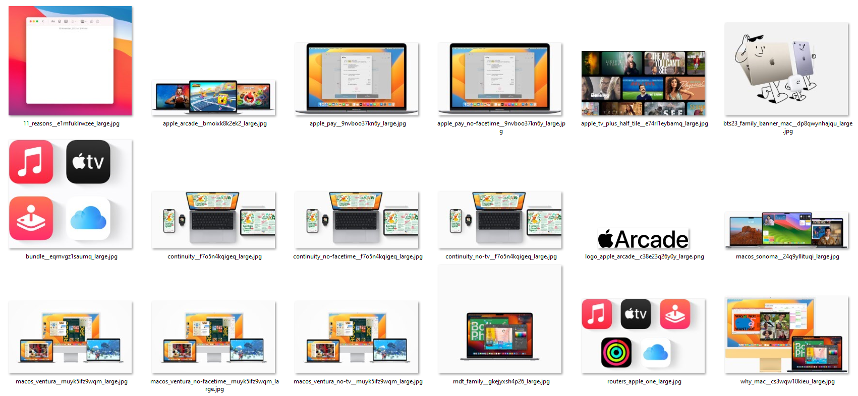 collection of results from background image scraping