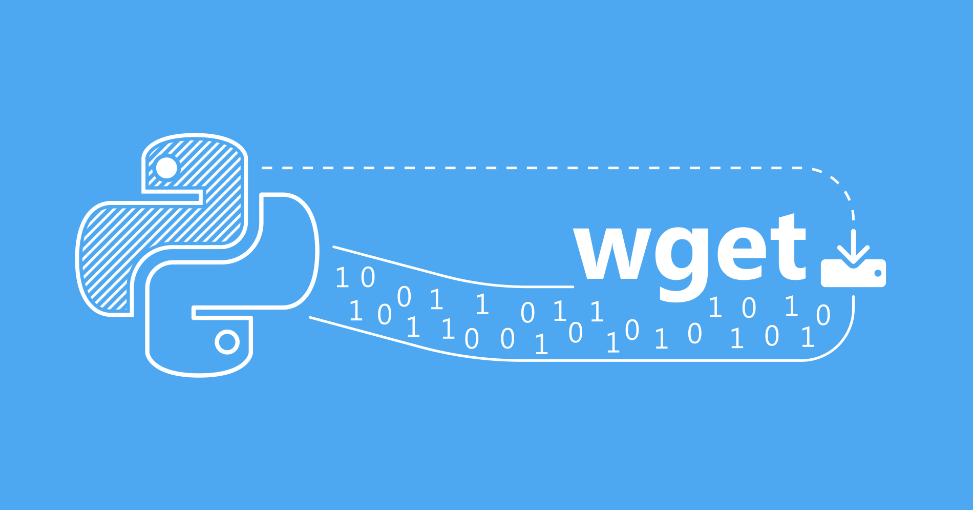 How to use wget in Python