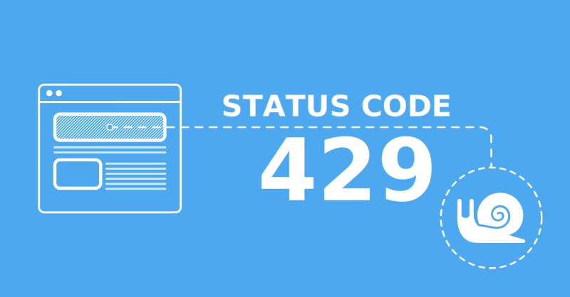 What is HTTP Error 429 Too Many Request and How to Fix it